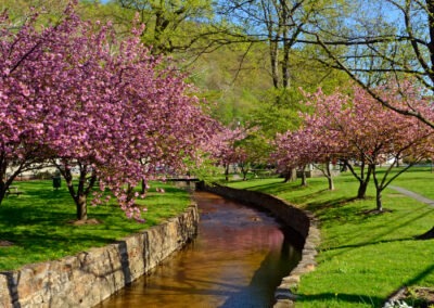 The Springs in Berkeley Springs, WV