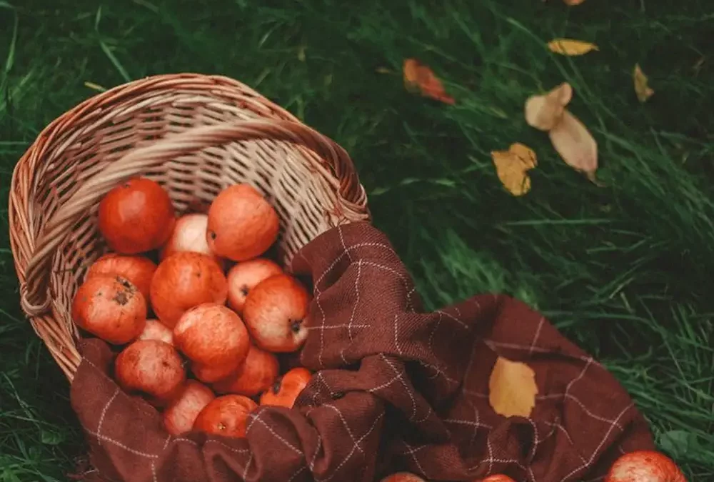 Why You Should Visit The Apple Butter Festival