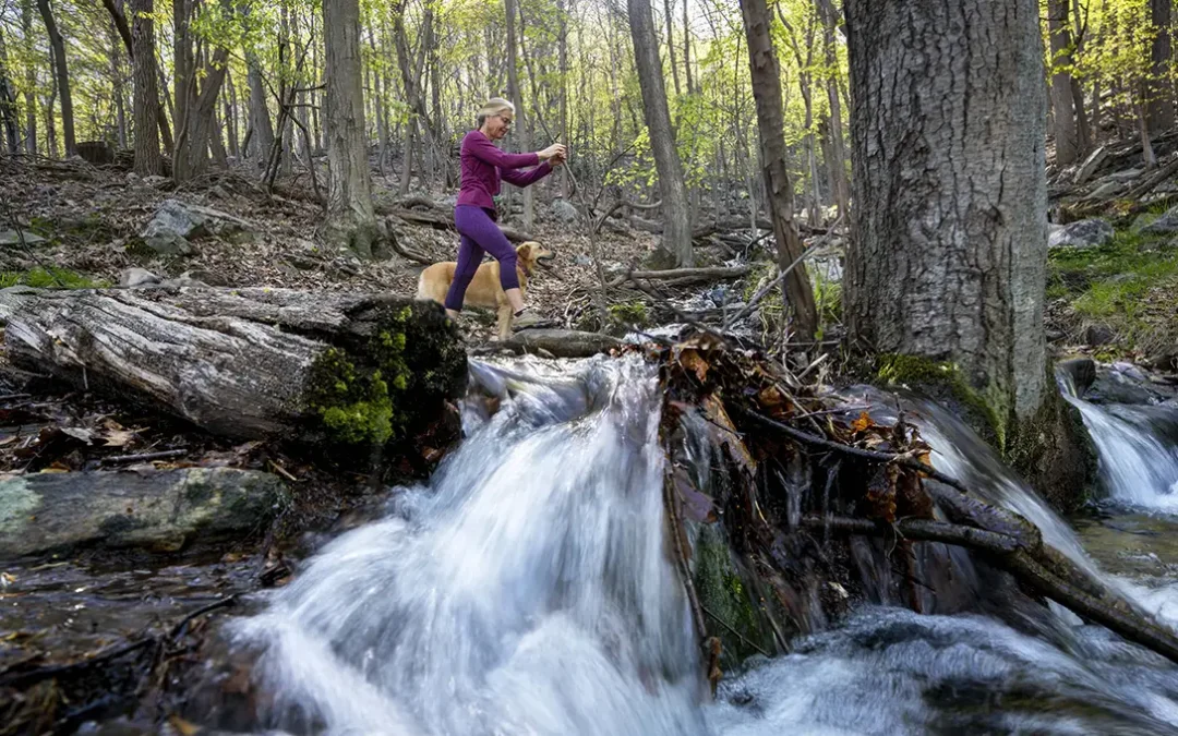 Discover West Virginia’s Hidden Hiking Gems Near Berkeley Springs